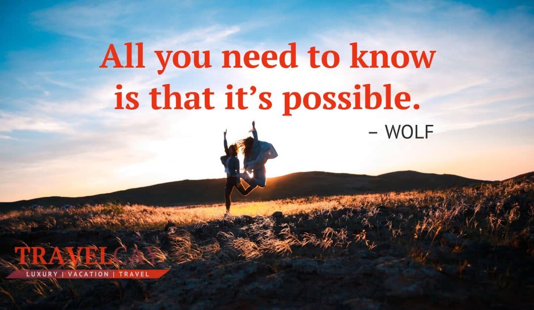 All you need to know is that it’s possible – WOLF