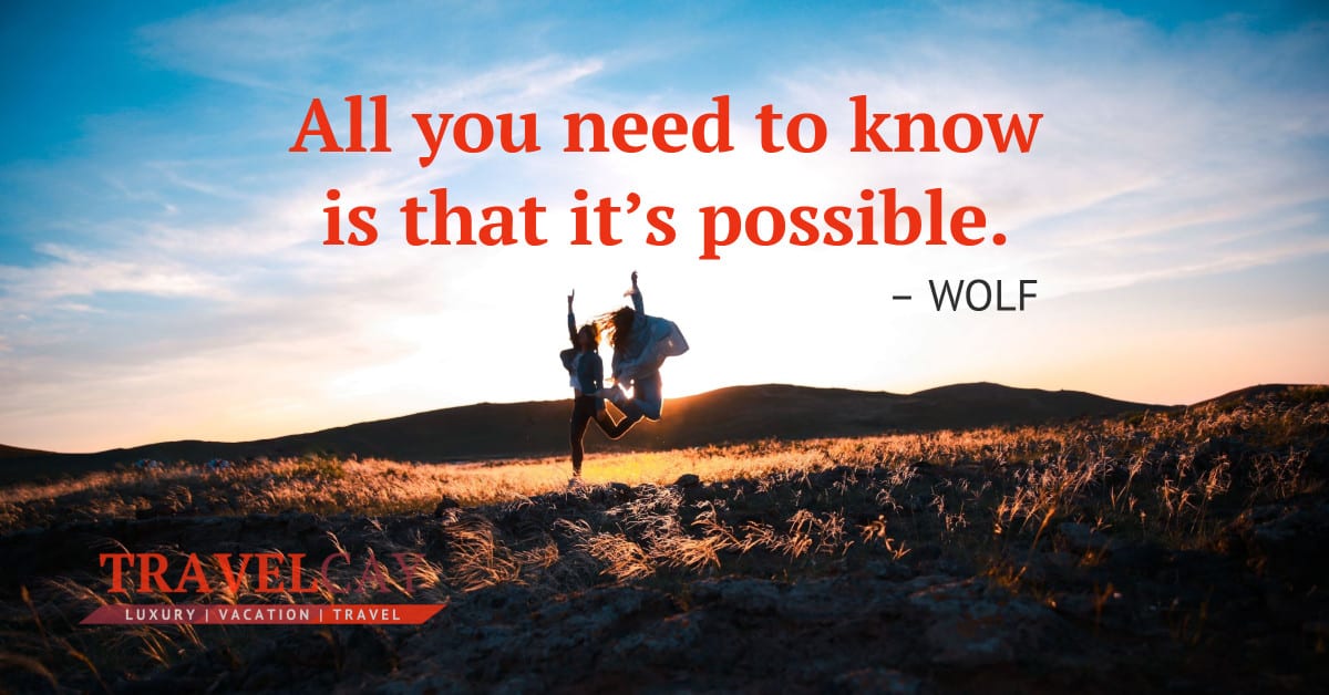 All you need to know is that it’s possible – WOLF 1