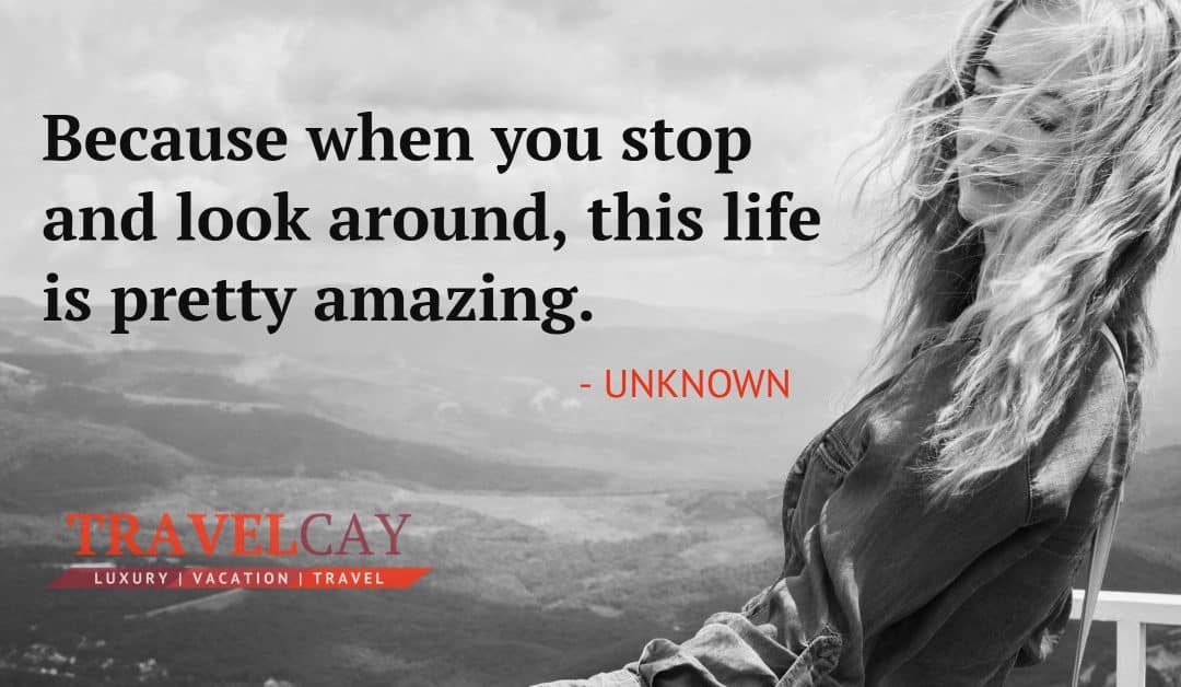 Because when you stop and look around, this life is pretty amazing – UNKNOWN