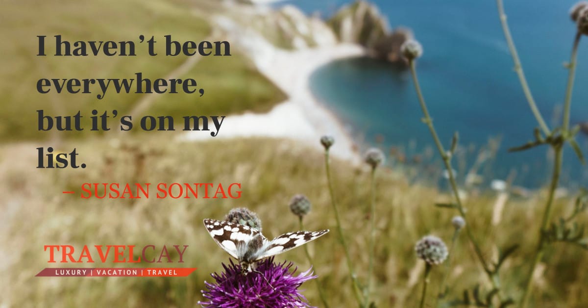 I haven’t been everywhere, but it’s on my list – SUSAN SONTAG 1