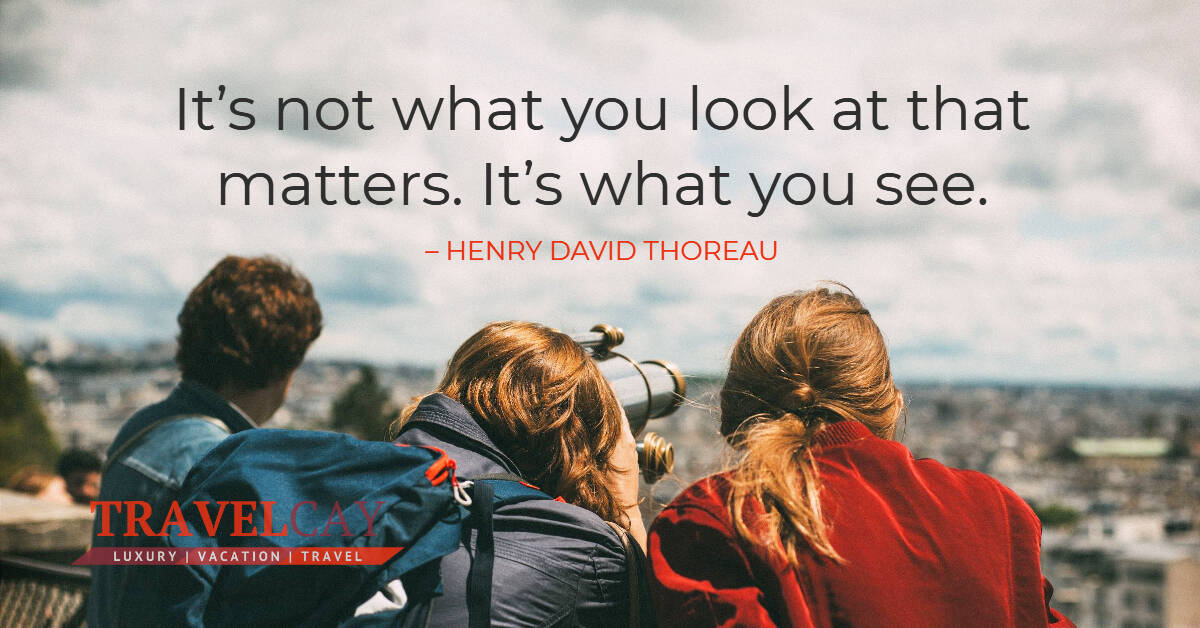 It’s not what you look at that matters. It’s what you see – HENRY DAVID THOREAU 1