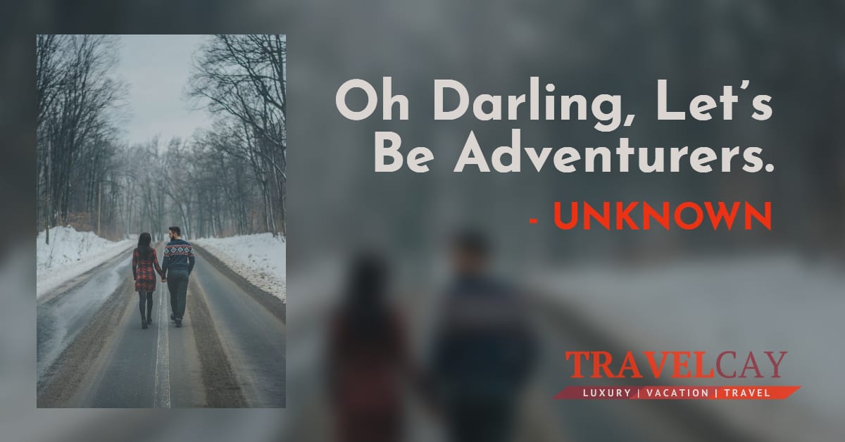 Oh Darling, Let’s Be Adventurers - UNKNOWN 1